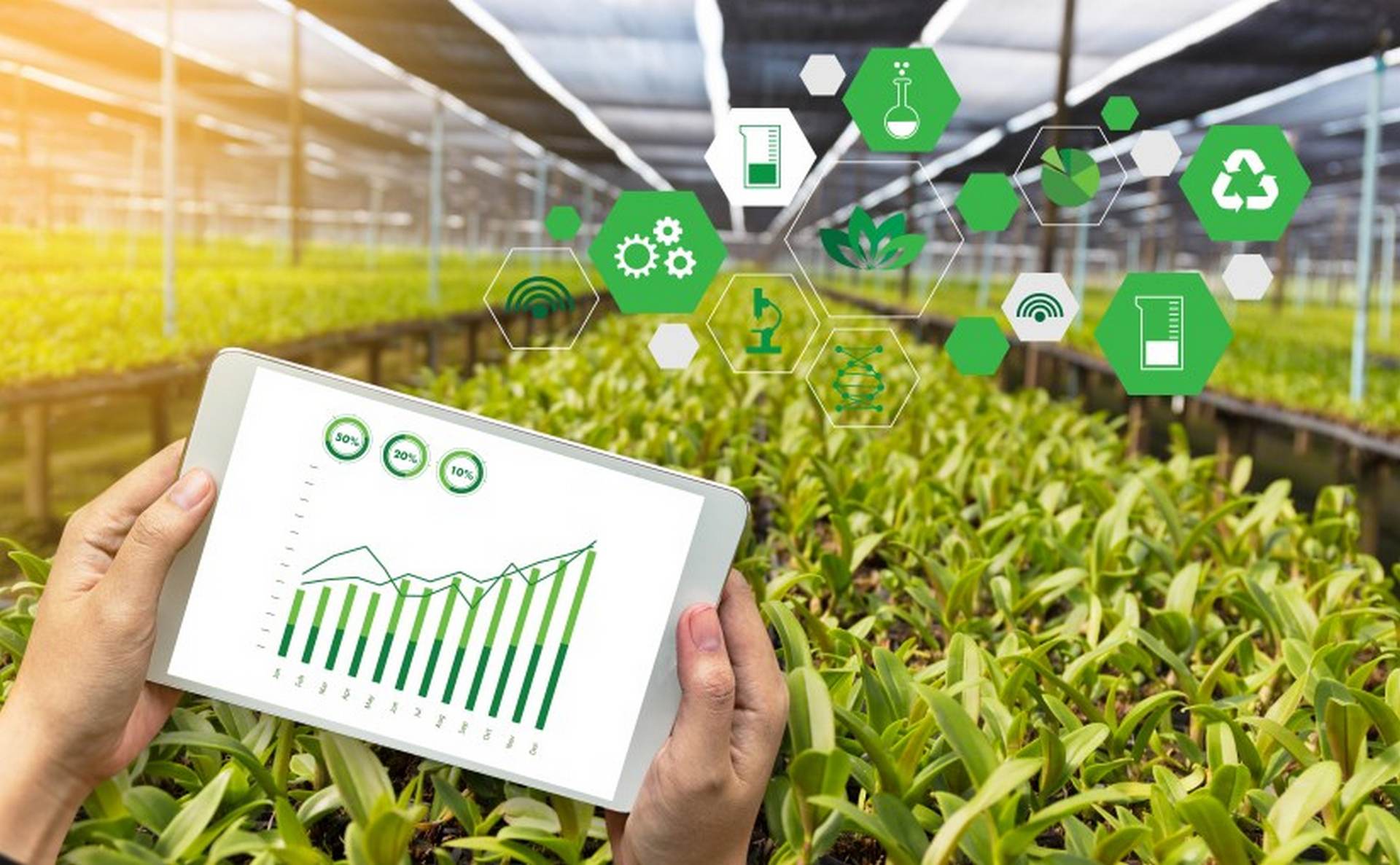 The Future of Agricultural Innovation How Agxio is Changing Crop
